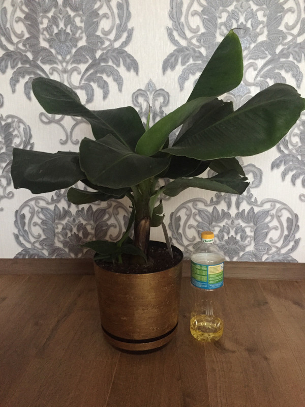 9C228E2F-4D81-4314-8476-46148A6FA4AD