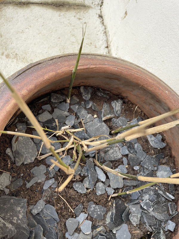 5723D10A-835F-4471-A88F-24119B5E49B8