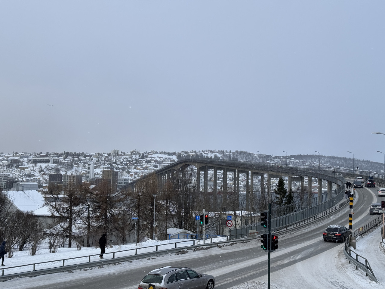 [Immagine: IMG-8126.jpg]