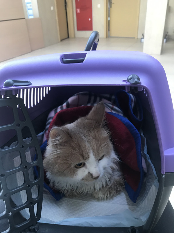 7C5B409A-76CB-4977-AE60-049C841CC404