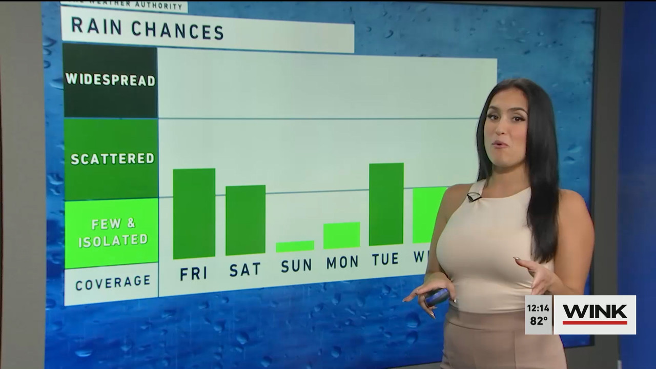 10.14 - 17.00.00 - The WINK Noon News  ᴺᵉʷ. Midday news update..ts_snapshot_20.57.076