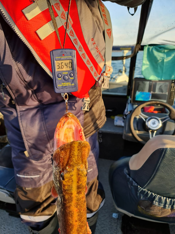 джиг спиннинг судак щука мастер-класс Куляпин Андрей катушка приманка (6)