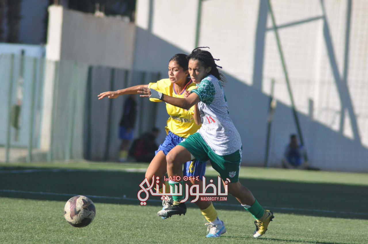 597137661-856469534223784-3145823773127078307-n