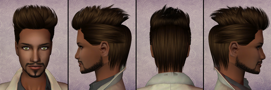 Skysims 234 hair angles