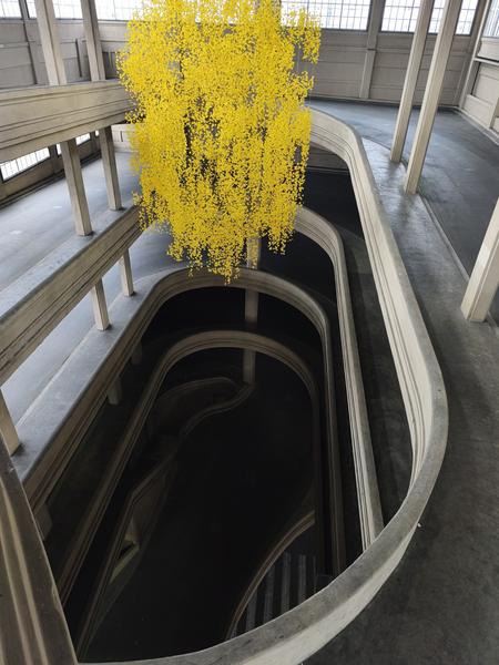 Llego a Milán y me voy a Turín - Milán-Turín-Génova-Pavía (17)