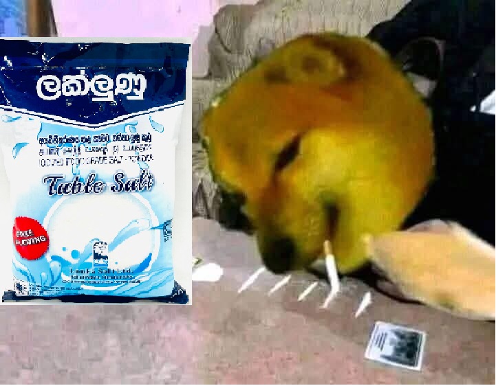 1000001369.jpg