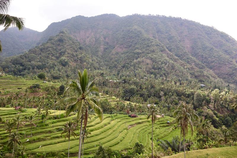 Singapur e Indonesia 2018 - Blogs de Indonesia - Bali (más cascadas y templos) (5)