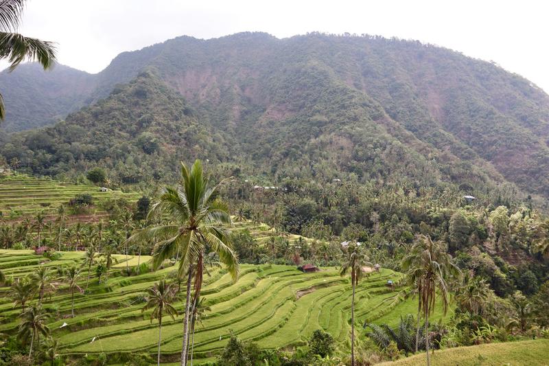 Bali (más cascadas y templos) - Singapur e Indonesia 2018 (5)