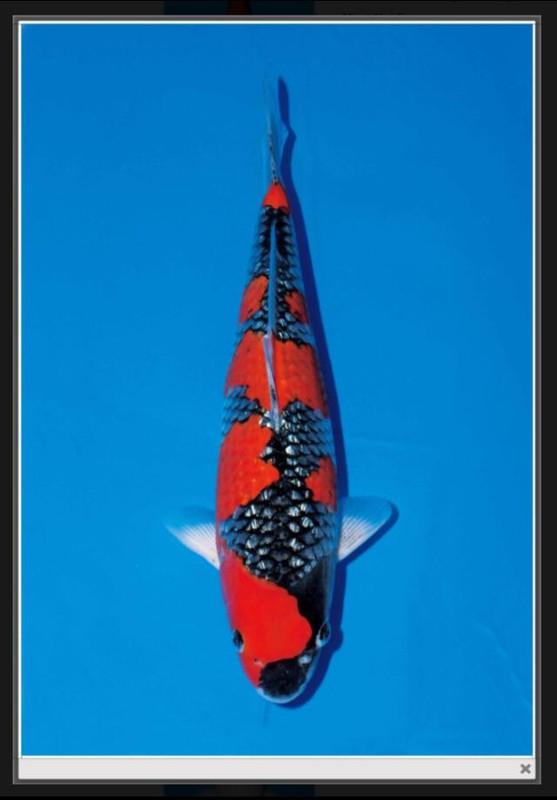 751BABD2-E239-4B5D-BC7A-33354D7AEE7B