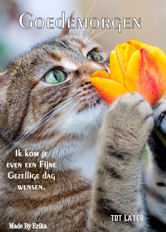 ED6B77E0-51F3-4C91-8CFF-7CD200B95E3A