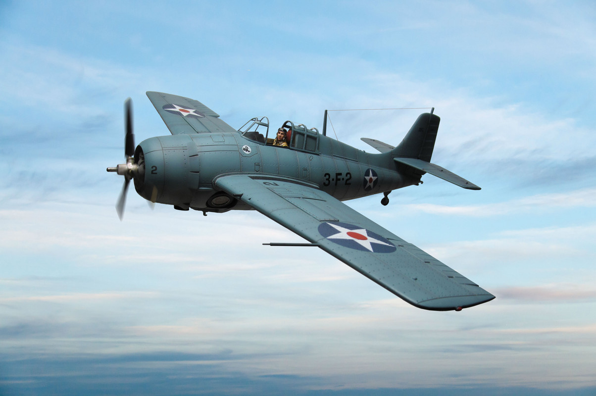 Wildcat_4_TF.jpg