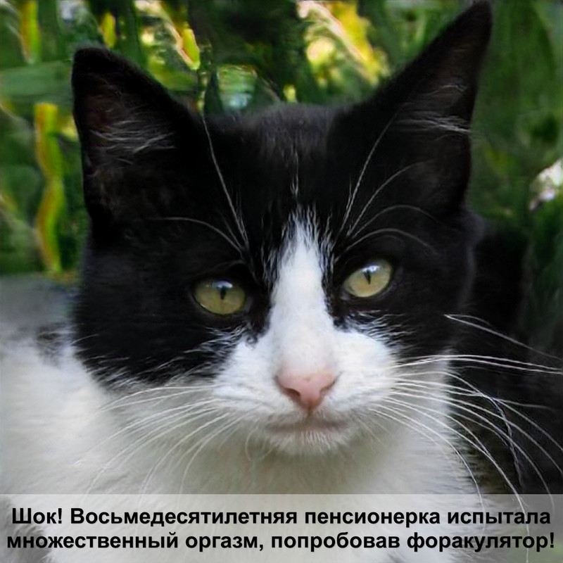 витамины 8 в 1 для кошек