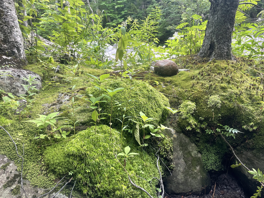 71F188A3-92E4-473E-8D94-0F73F6D99235