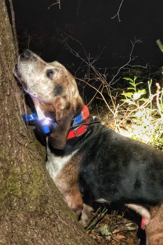 0F6EC748-F5A5-4350-B95B-01333D96455F