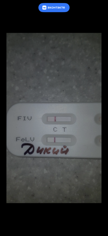 IMG_0904