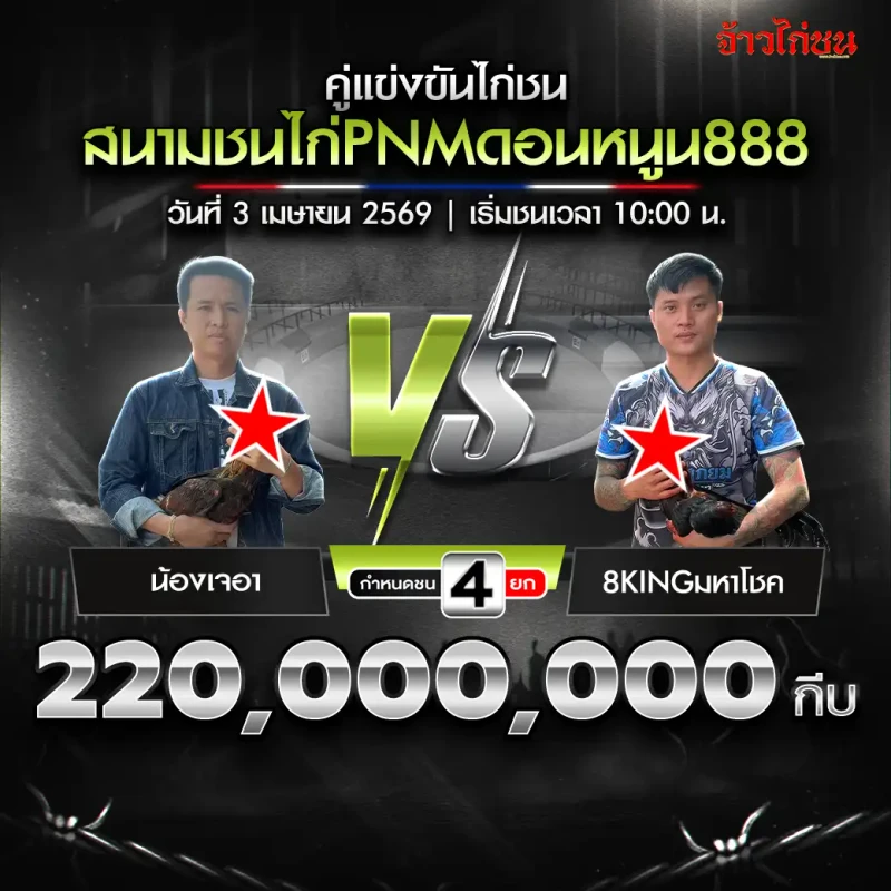 โปรแกรมไก่ชน คู่เด่น น้องเจอา vs 8KINGมหาโชค สนาม PNMดอนหนูน888