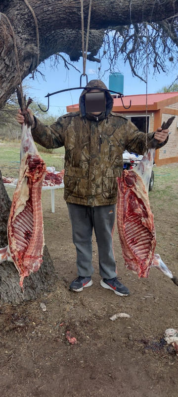 WhatsApp Image 2022-10-10 at 12.13.14