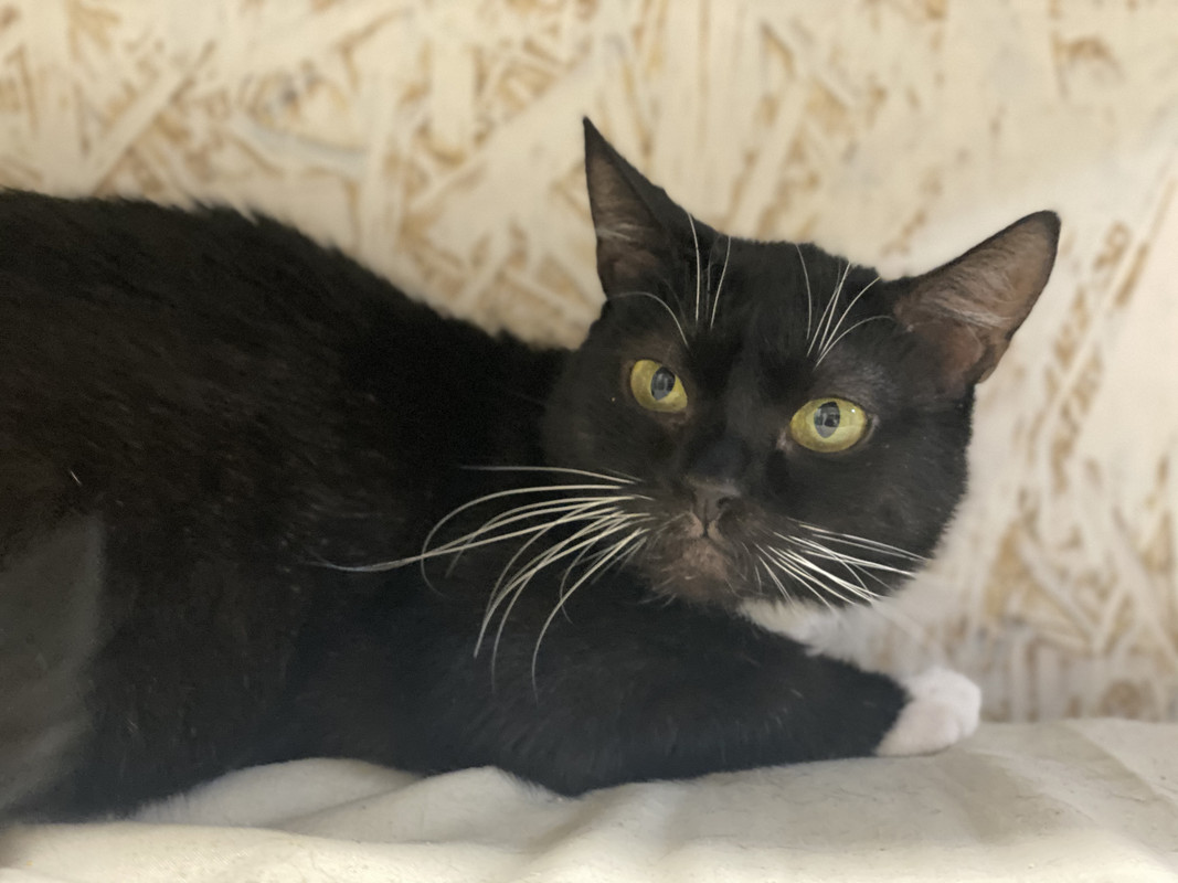 8A53629A-A5D5-4AC7-A313-DB0B14C70429