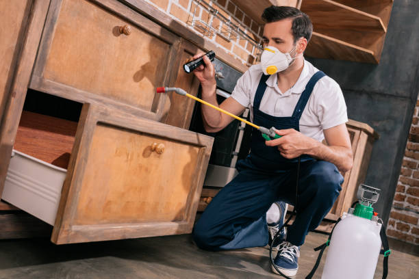Rodent exclusion and prevention service