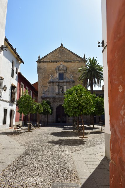 Domingo 5/07. Palacio de Viana, Iglesias Fernandinas, Alcázar, Mezquita-Catedral - Córdoba y Granada en un verano atípico. (7)