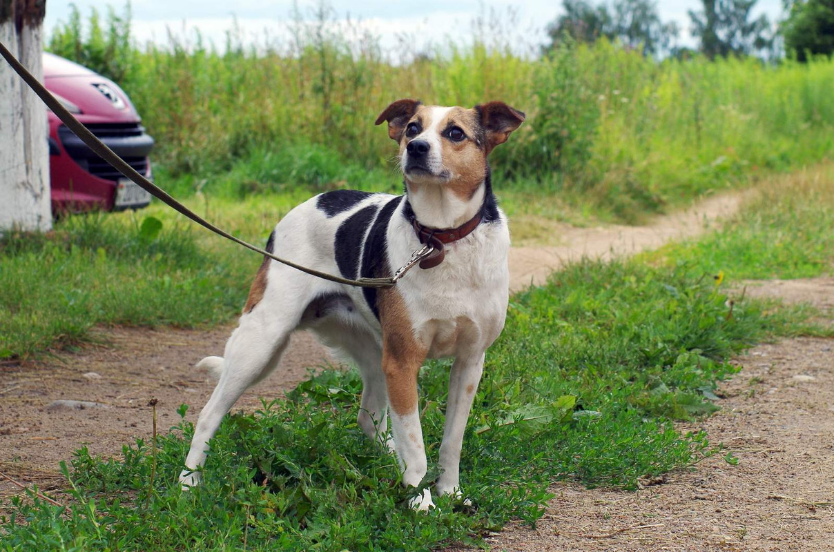 изображение_viber_2022-08-03_17-07-13-188