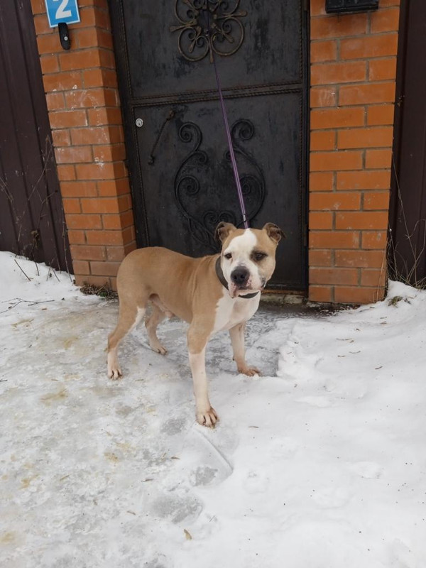 C60C53E6-0523-4DE7-B0A1-7CD237538664