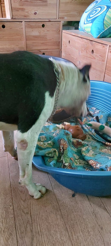 0766D744-A5DC-4020-B6C5-4E5DCEFDE229