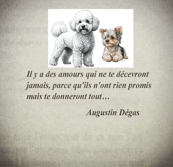Sans titre