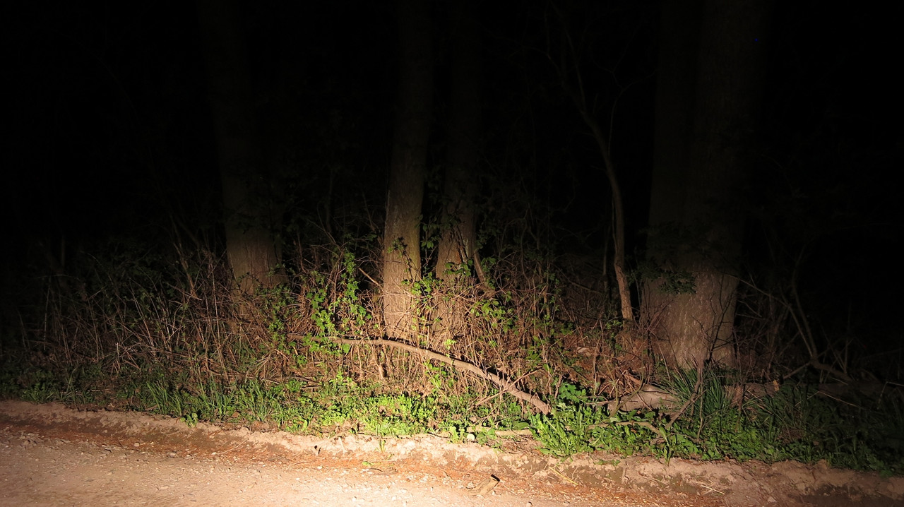 58 Fenix BC35R 2 (Copy)