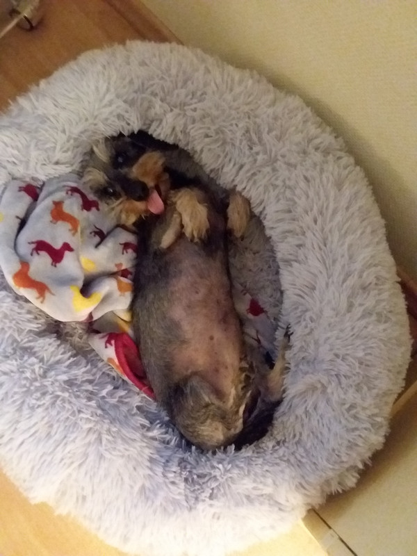 [Image: 20210129-195110.jpg]