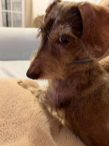 [Image: IMG-0920.jpg]