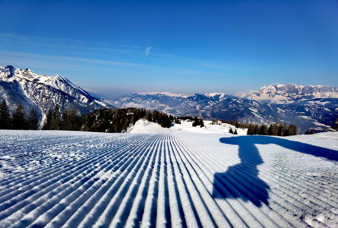 IMG_20220320_084543_edit_281862135735637