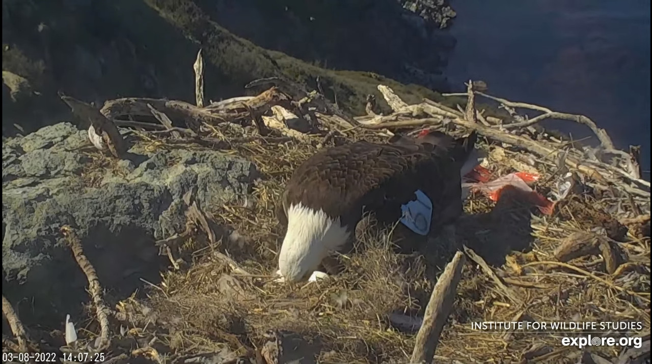 42AB6D4E-21CE-4BDD-938F-8542A4A56C15