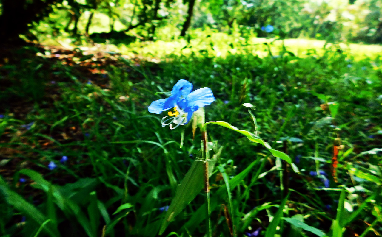 DSCN0255.jpg