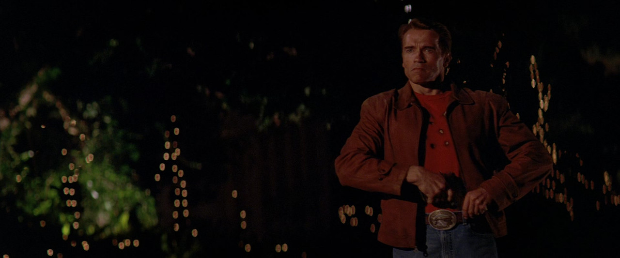Last Action Hero (1993) (1080p BluRay x265 FreetheFish)-8