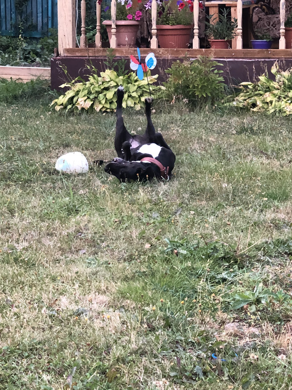 C116A067-36F9-4F99-A97B-627A288E84AD