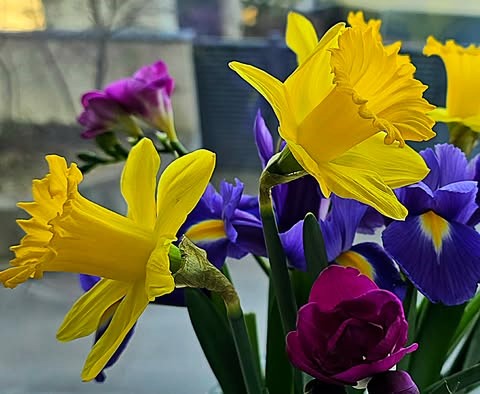 658808120-27512484495020893-2355508121807798844-n