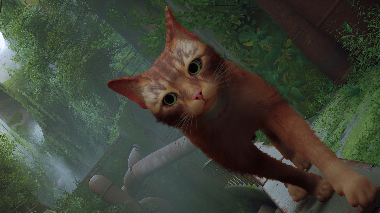 Stray-Win64-Shipping_2022_08_03_00_05_32_267