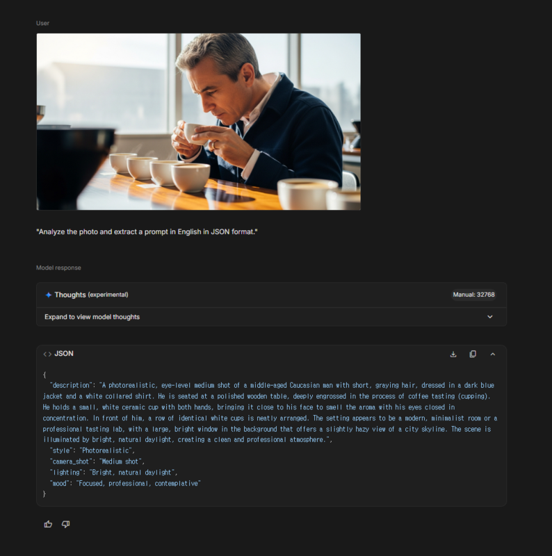 추출된 JSON 프롬프트