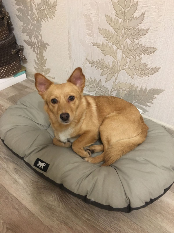 IMG-61e8c992854def6bc0126a94da381ec9-V