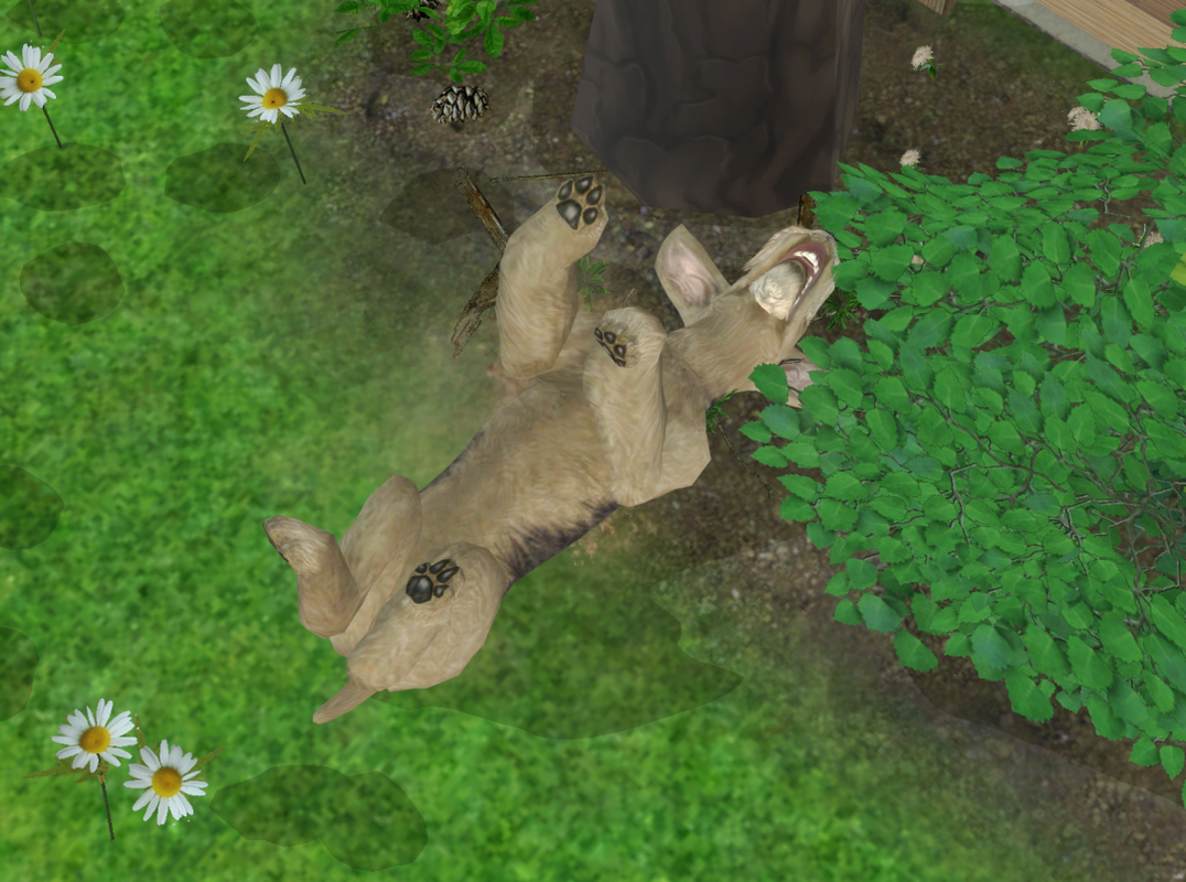 Sims2-EP9-RPC-2024-03-03-11-27-18-88