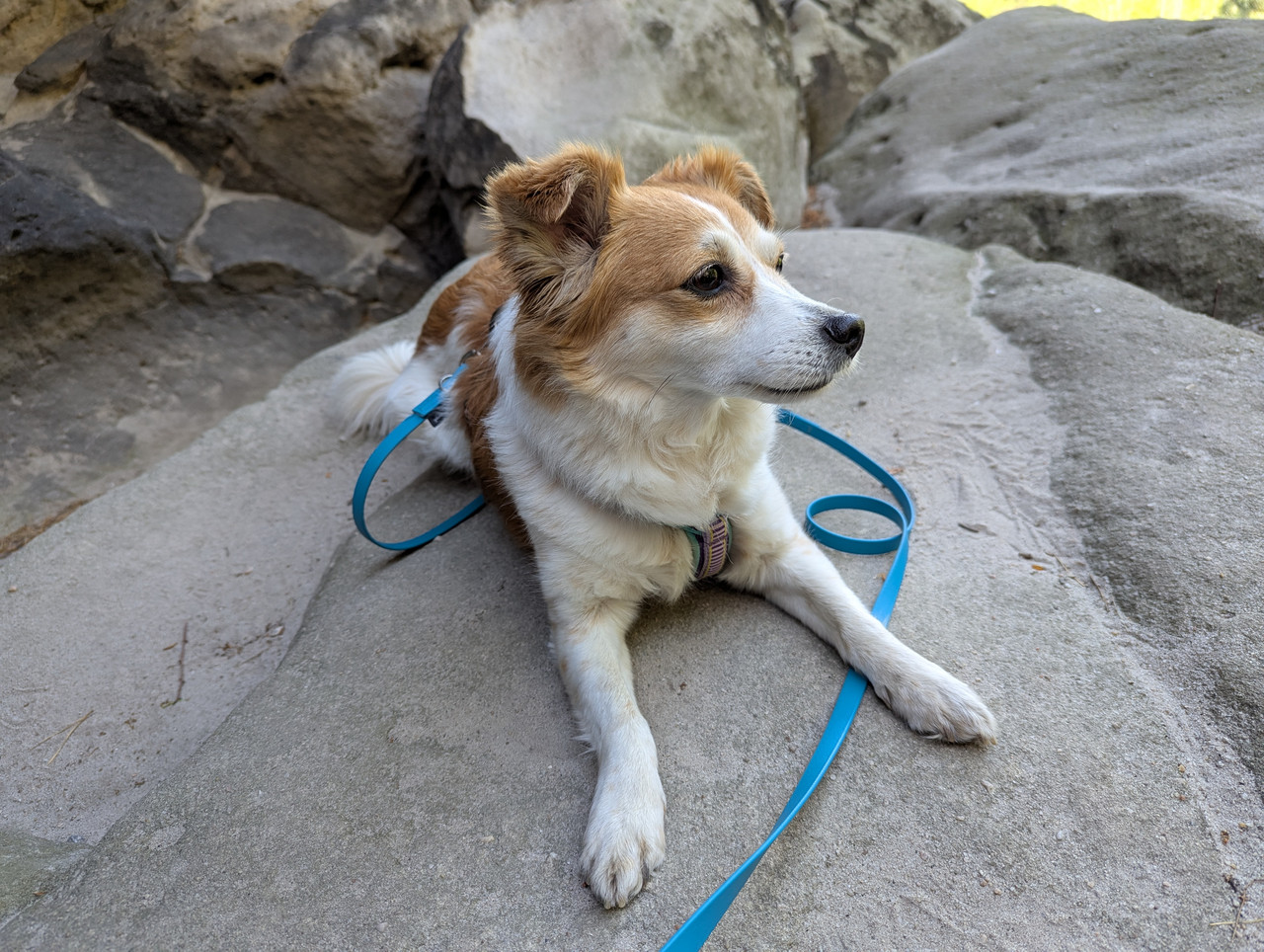 PXL 20250512 101746733