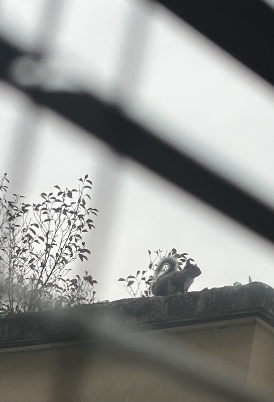 1F8F06AB-D046-4AF0-9095-06CC926E65C3