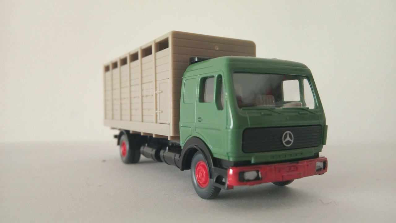 Mache (9267)