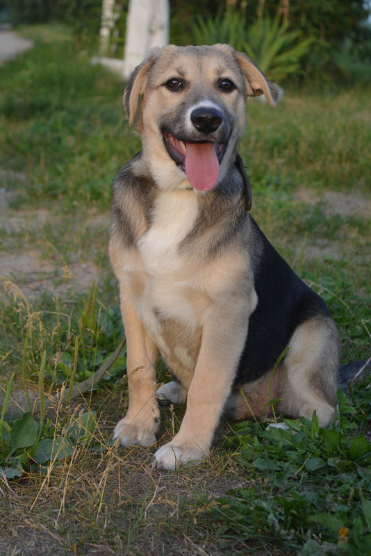 изображение_viber_2022-07-27_17-07-53-021