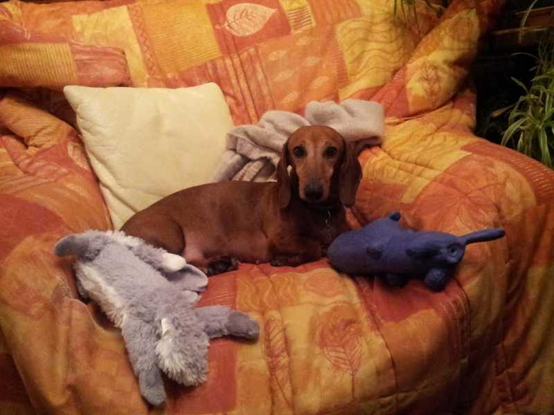 [Image: unnamed.jpg]