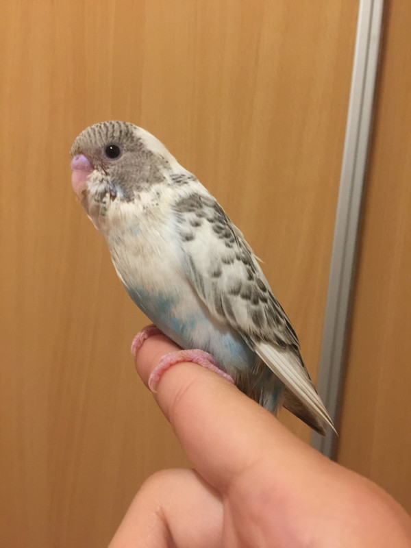 F5D4D3FB-A996-4021-8FF6-F1EE2E194FC2