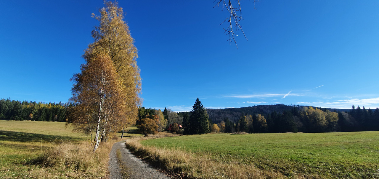[Image: 20211030-131155.jpg]