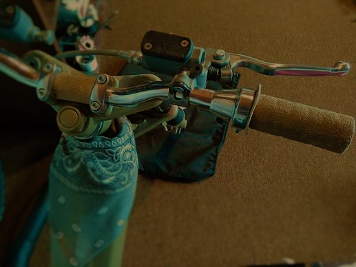 12914780_10208876117200744_744697072_o (1)