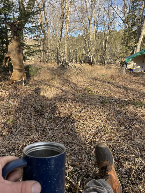 6C85A047-13C7-4A28-8E28-2E842FD85ACE